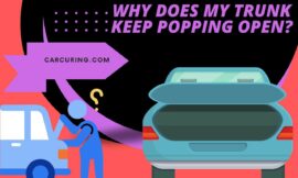 Why does My Trunk Keep Popping Open? Dealing with a Persistent Trunk!