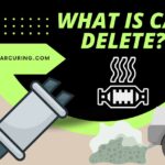 Read more about the article What is Cat Delete? – Deleting Cat-Related Content!