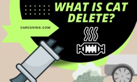 What is Cat Delete? – Deleting Cat-Related Content!