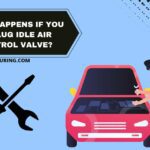 Read more about the article What Happens If You Unplug Idle Air Control Valve? Alternatives to Unplugging!